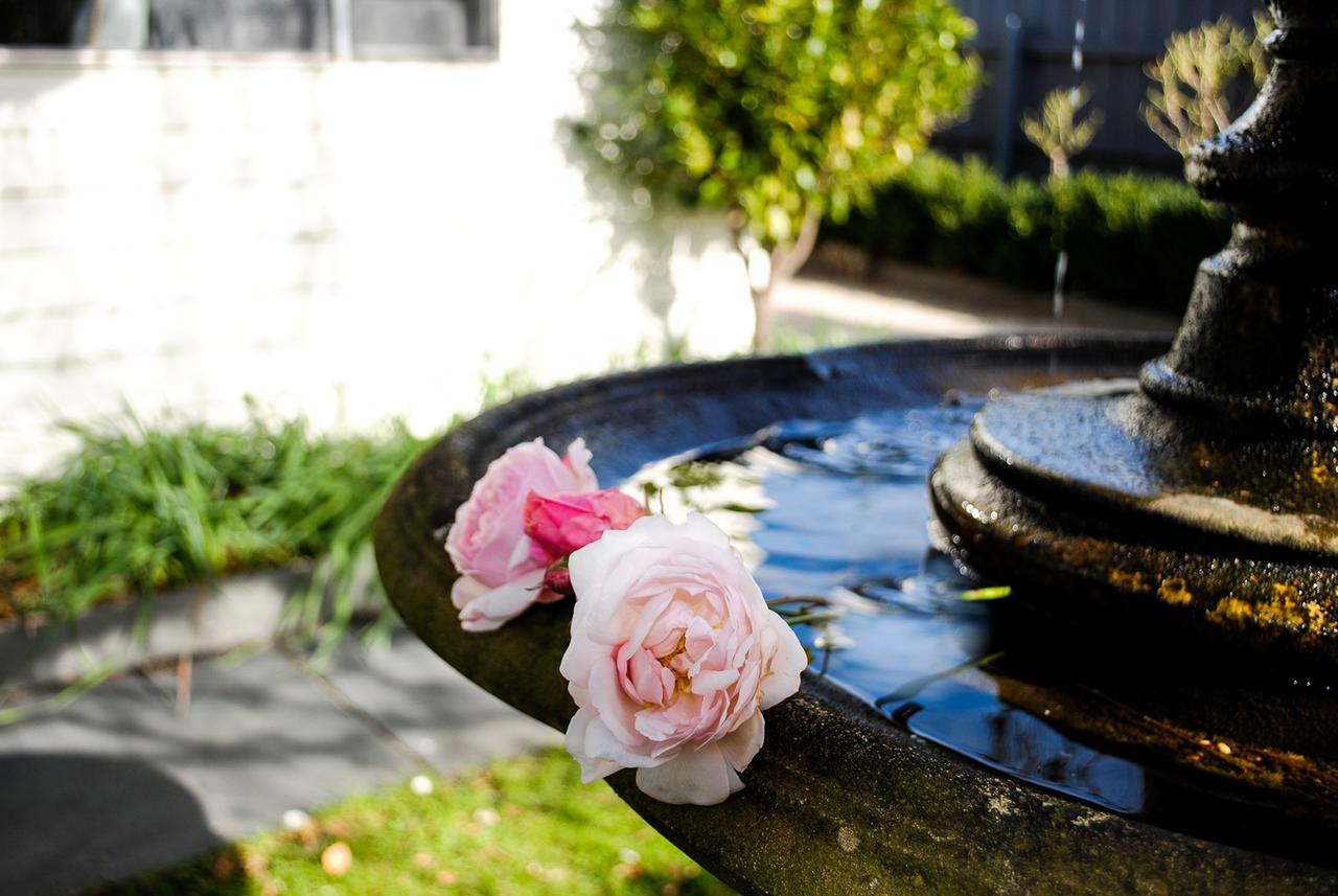アポロ・ベイ Bed Of Rosesヴィラ エクステリア 写真
